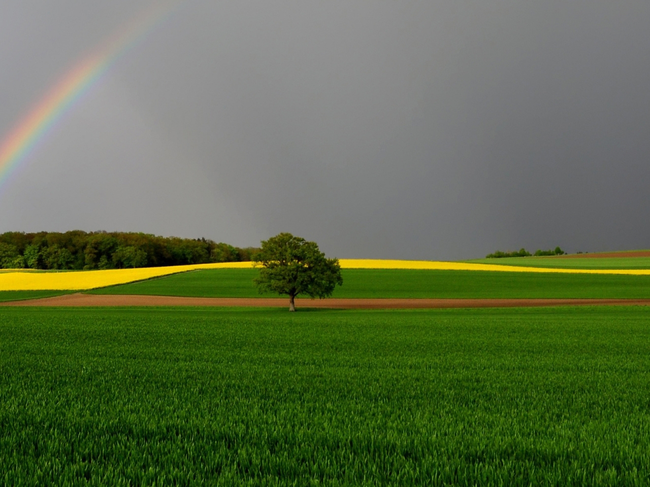 Green Fields and Rainbow for 1280 x 960 resolution