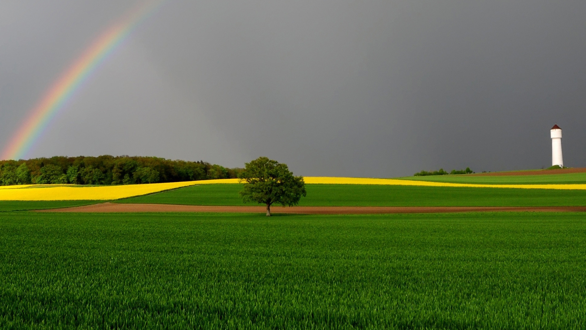 Green Fields and Rainbow for 1920 x 1080 HDTV 1080p resolution