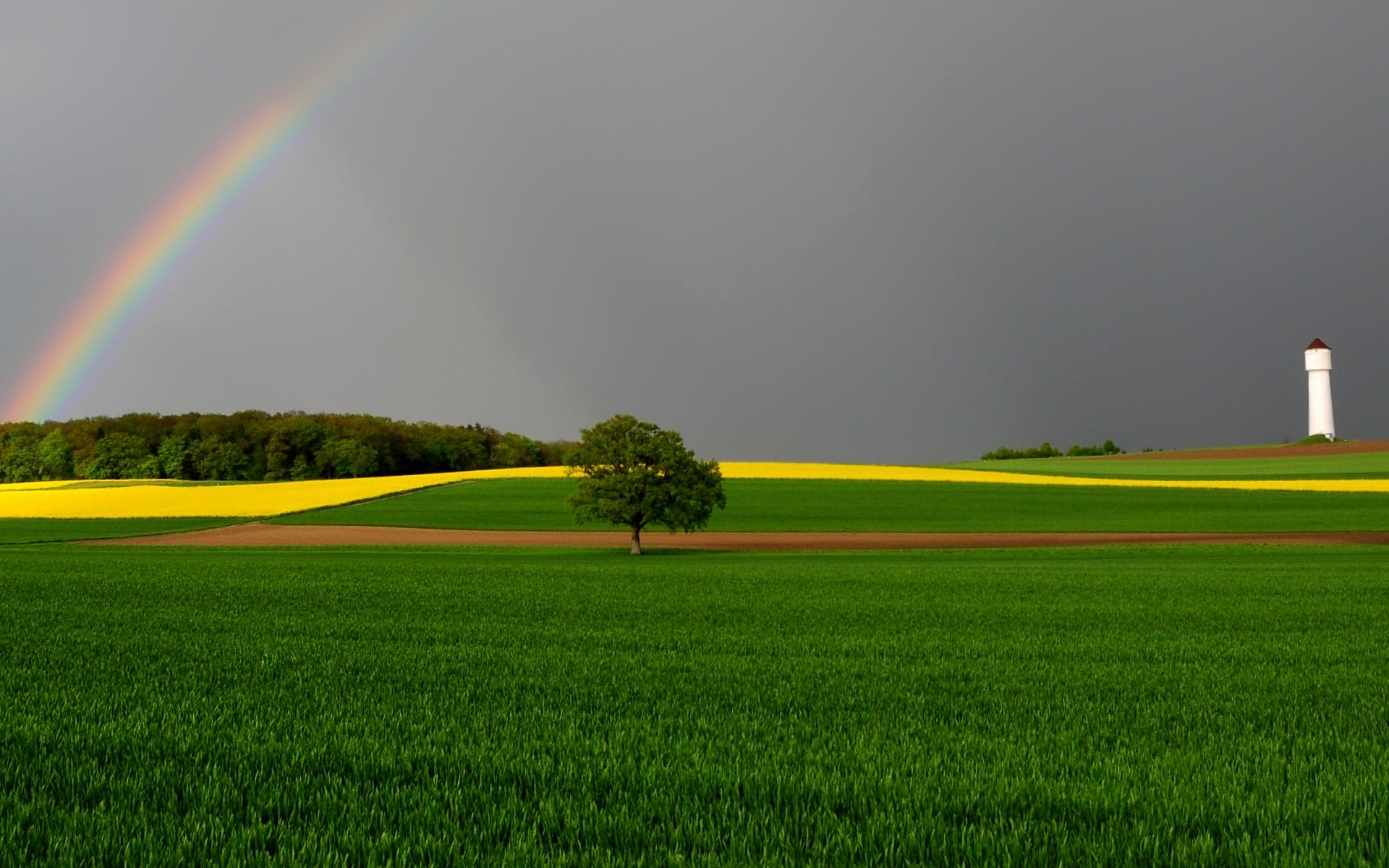 Green Fields and Rainbow for 1920 x 1200 widescreen resolution