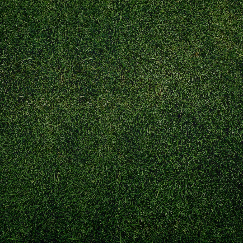 Green Grass for 1024 x 1024 iPad resolution