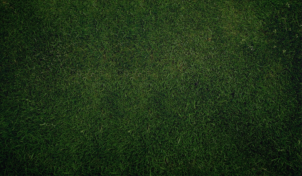 Green Grass for 1024 x 600 widescreen resolution