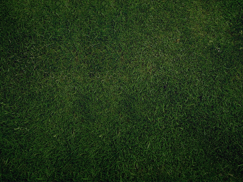 Green Grass for 1024 x 768 resolution