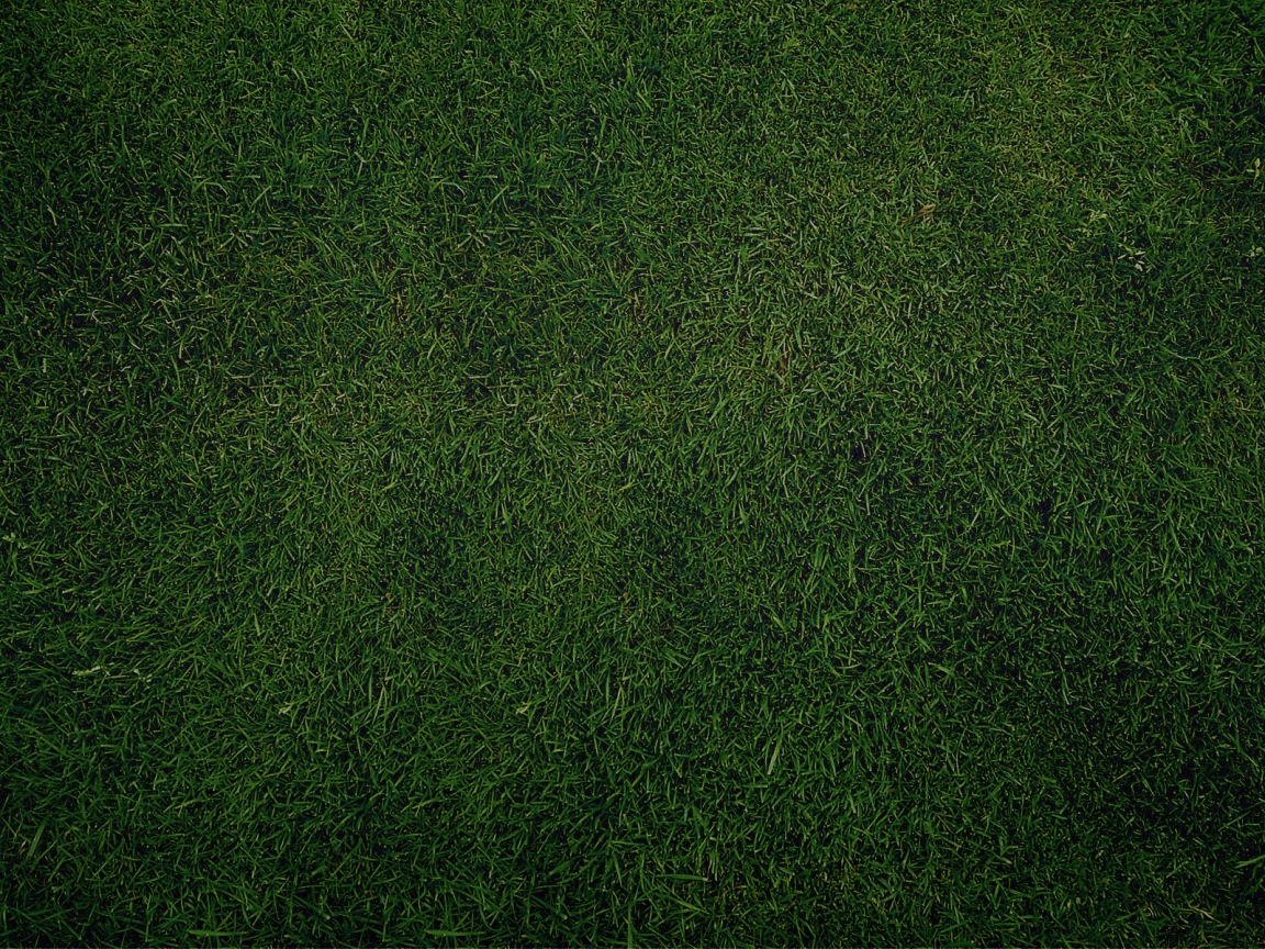 Green Grass for 1152 x 864 resolution