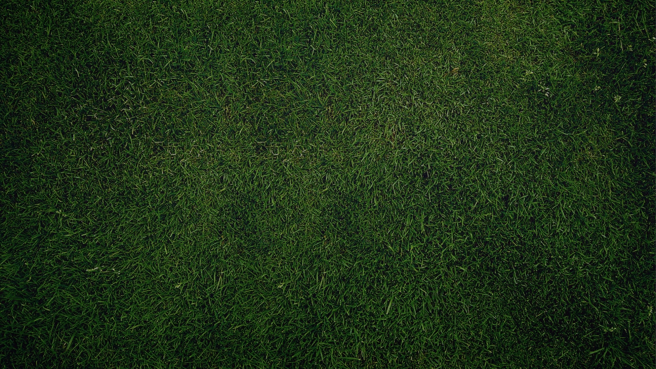 Green Grass for 1280 x 720 HDTV 720p resolution