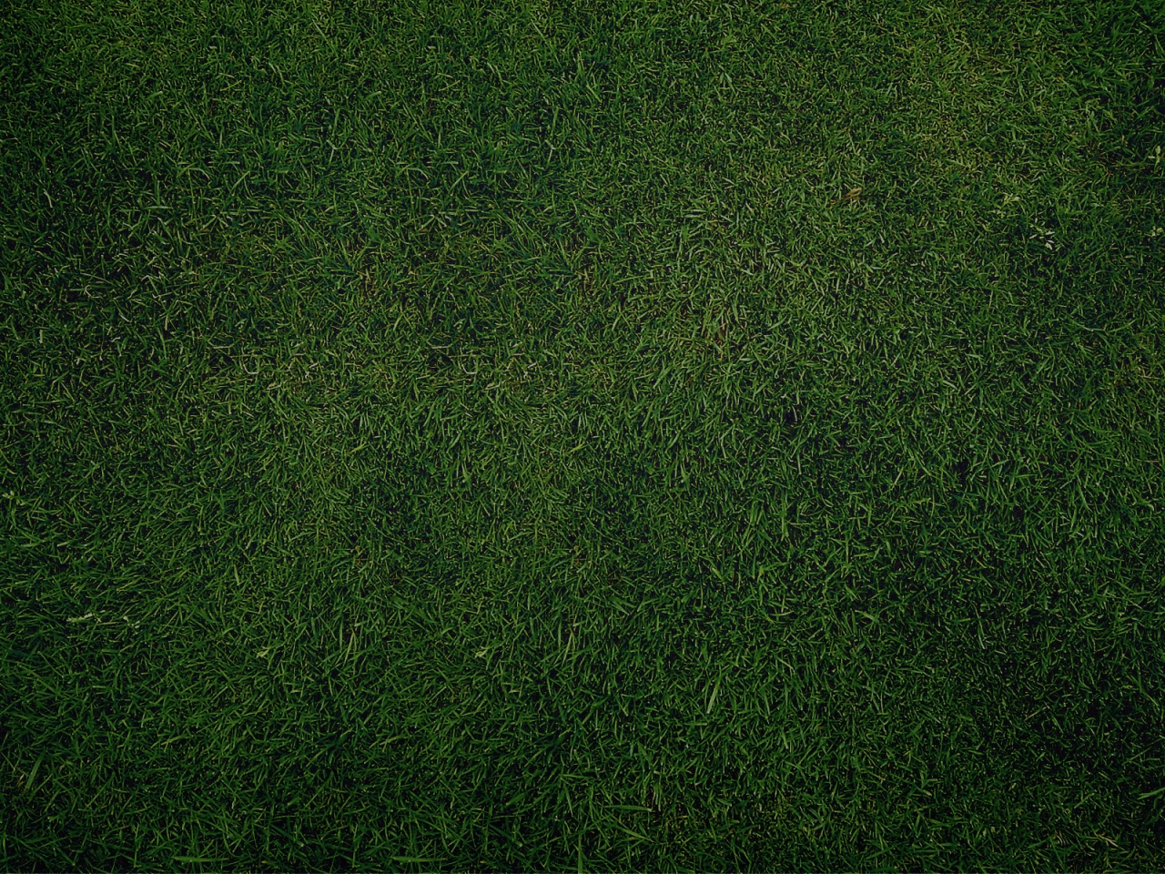 Green Grass for 1280 x 960 resolution