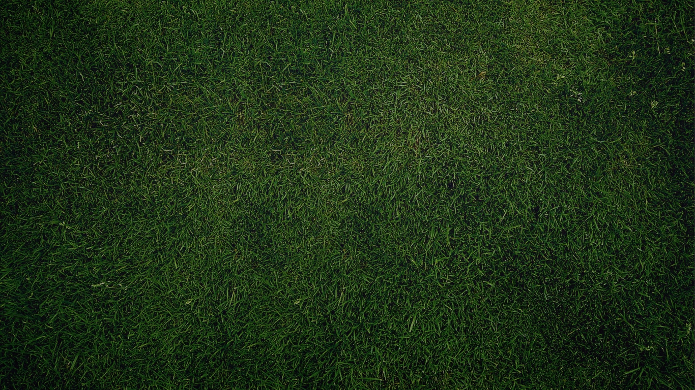 Green Grass for 1366 x 768 HDTV resolution