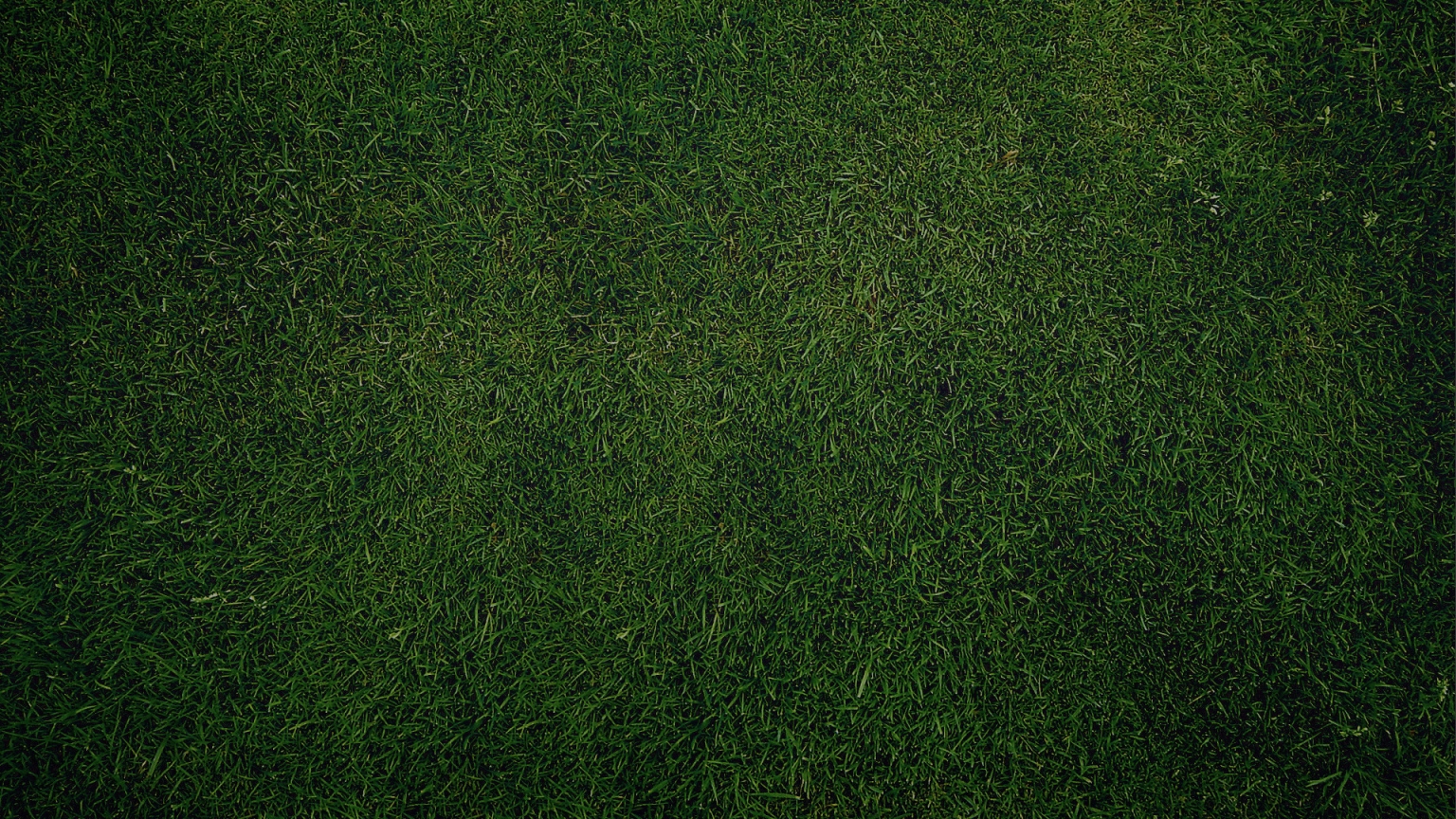 Green Grass for 1536 x 864 HDTV resolution
