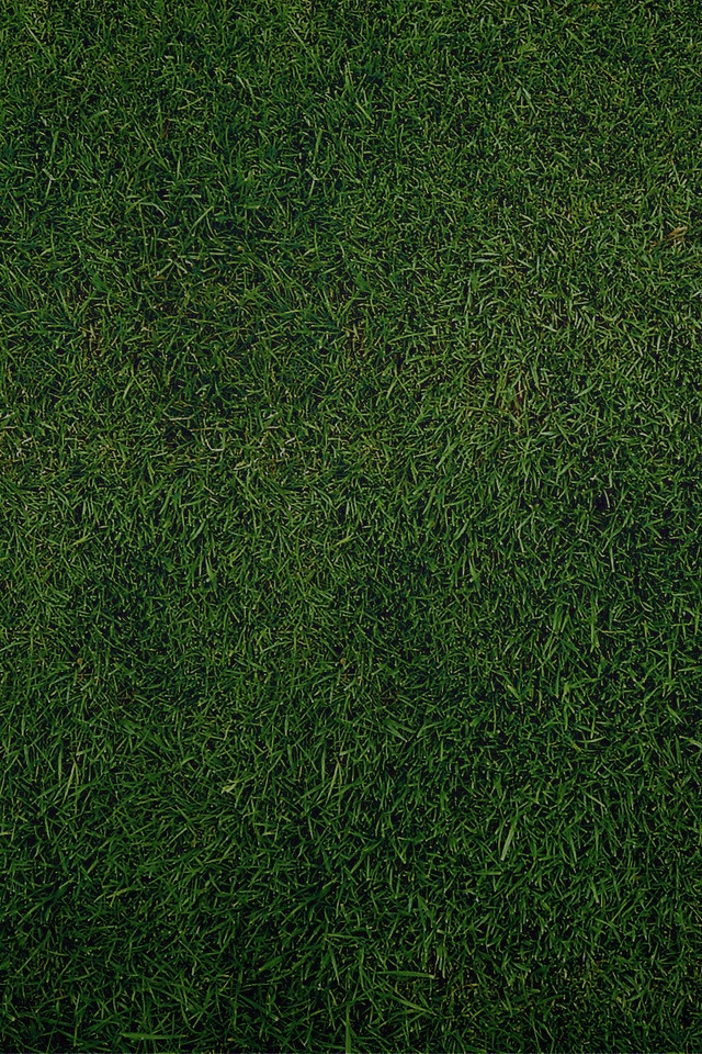 Green Grass for 640 x 960 iPhone 4 resolution
