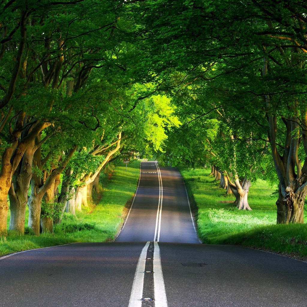 Green Road for 1024 x 1024 iPad resolution