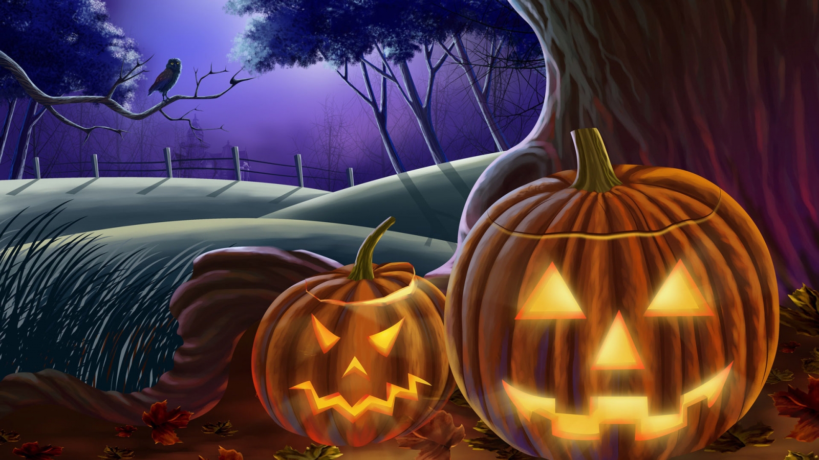 Illuminated Pumpkins for Halloween for 1600 x 900 HDTV resolution