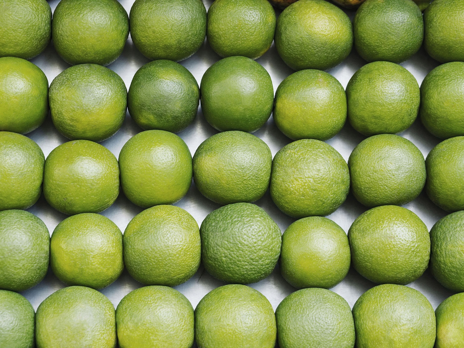 Just Lime for 1600 x 1200 resolution