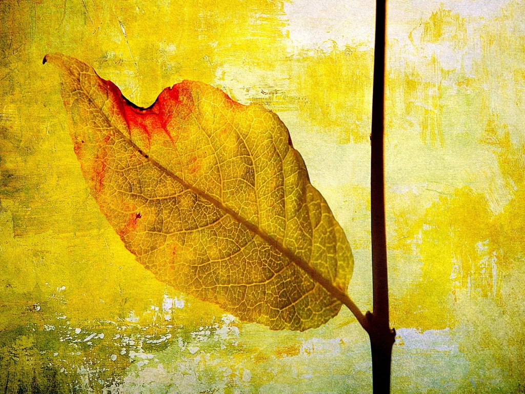 Leaf Painting for 1024 x 768 resolution