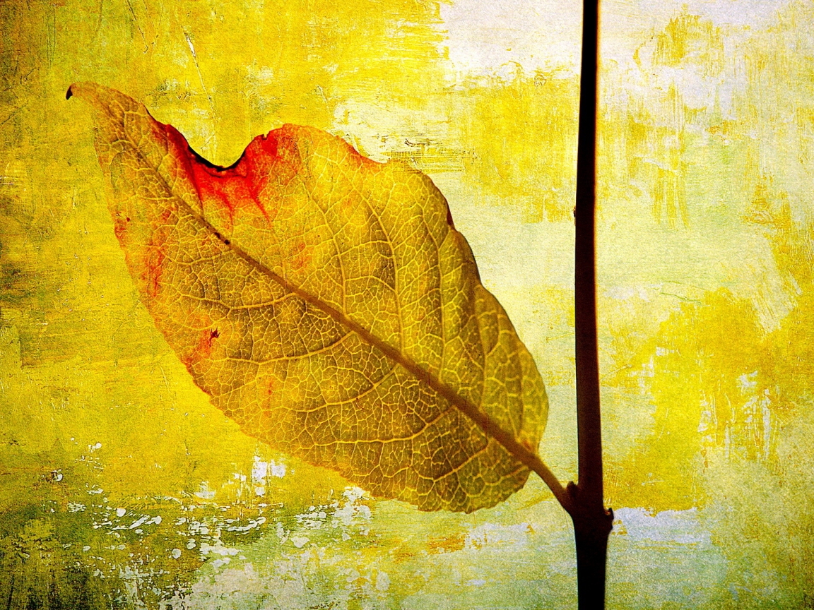 Leaf Painting for 1152 x 864 resolution