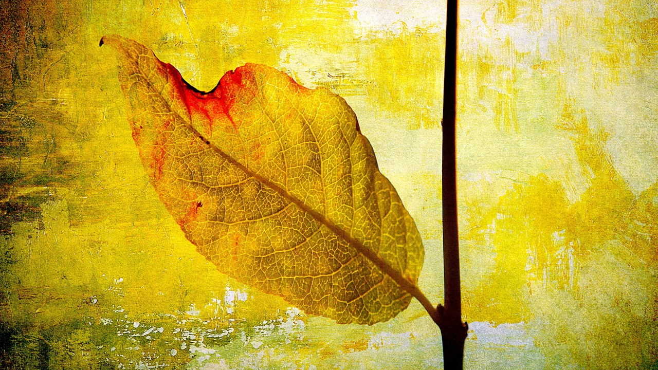 Leaf Painting for 1280 x 720 HDTV 720p resolution