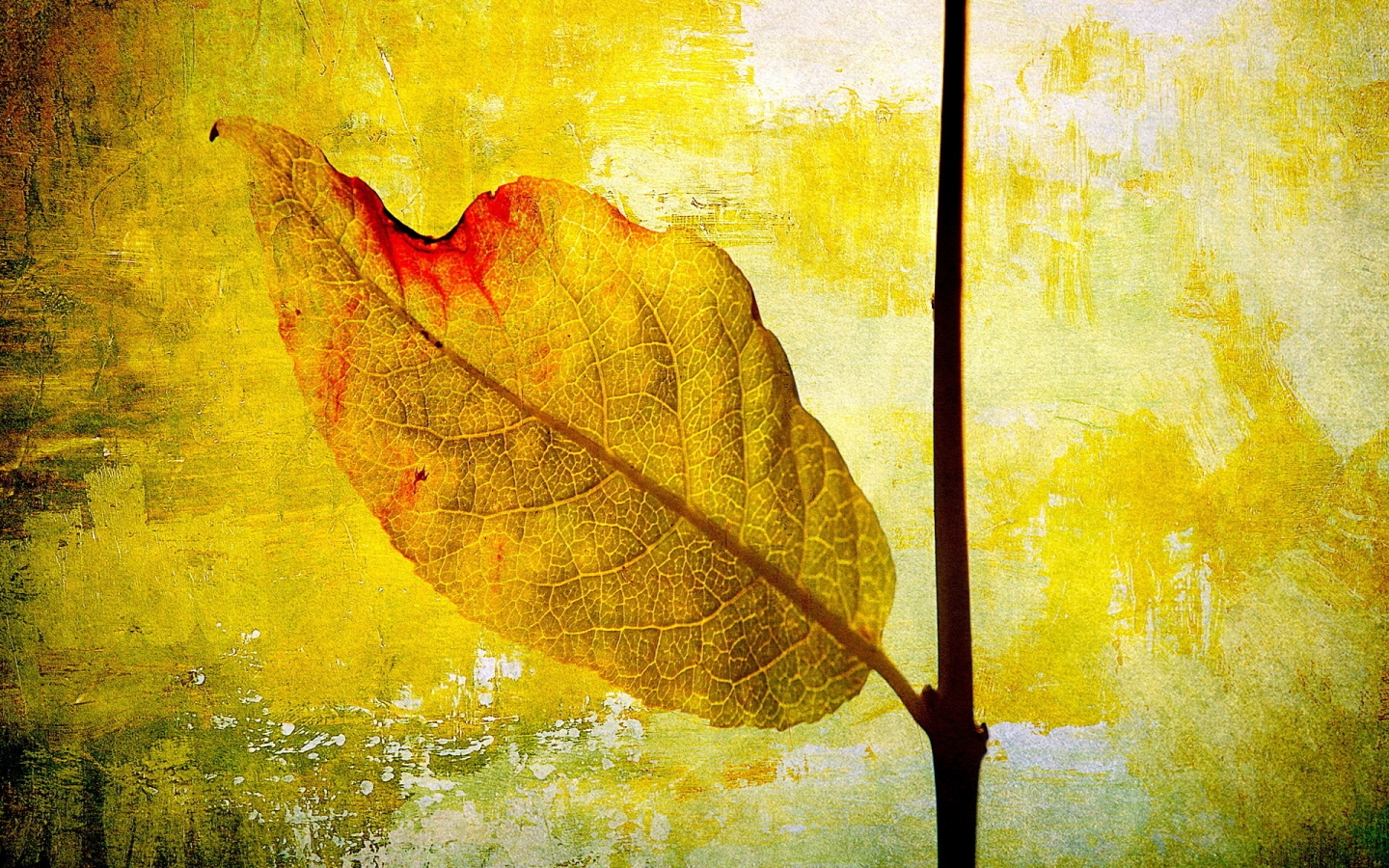 Leaf Painting for 1440 x 900 widescreen resolution