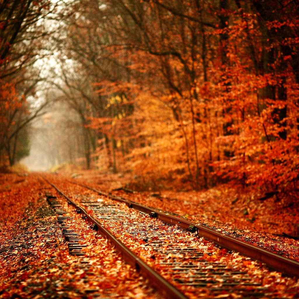 Leaves Over Railway for 1024 x 1024 iPad resolution