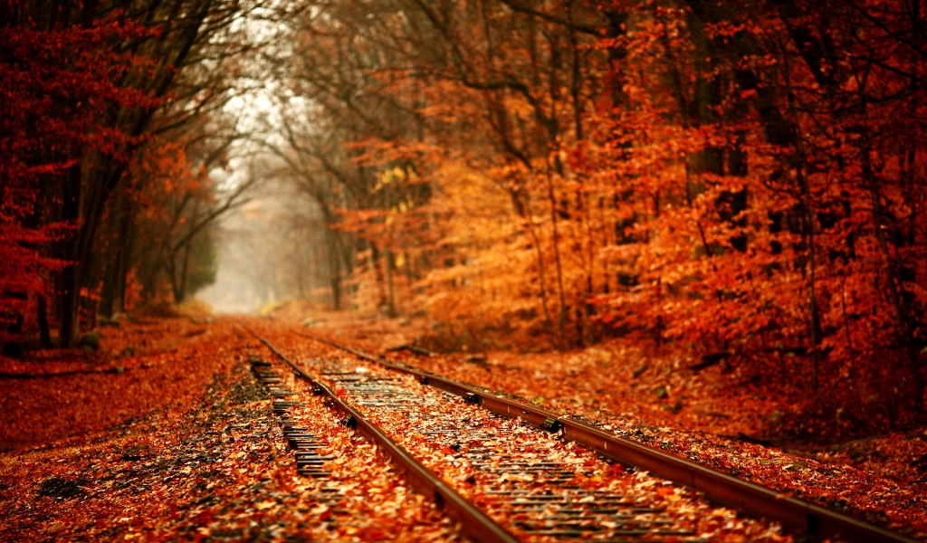 Leaves Over Railway for 1024 x 600 widescreen resolution