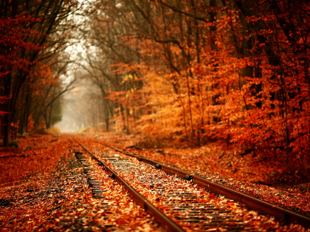 Leaves Over Railway for 1024 x 768 resolution