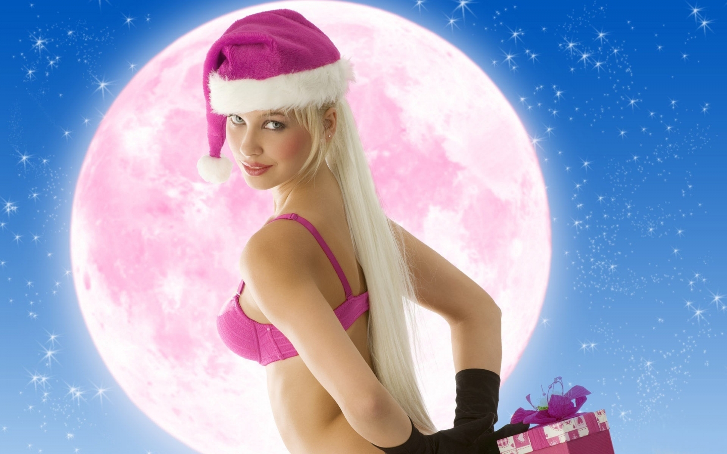 Legally Blonde Christmas for 1440 x 900 widescreen resolution