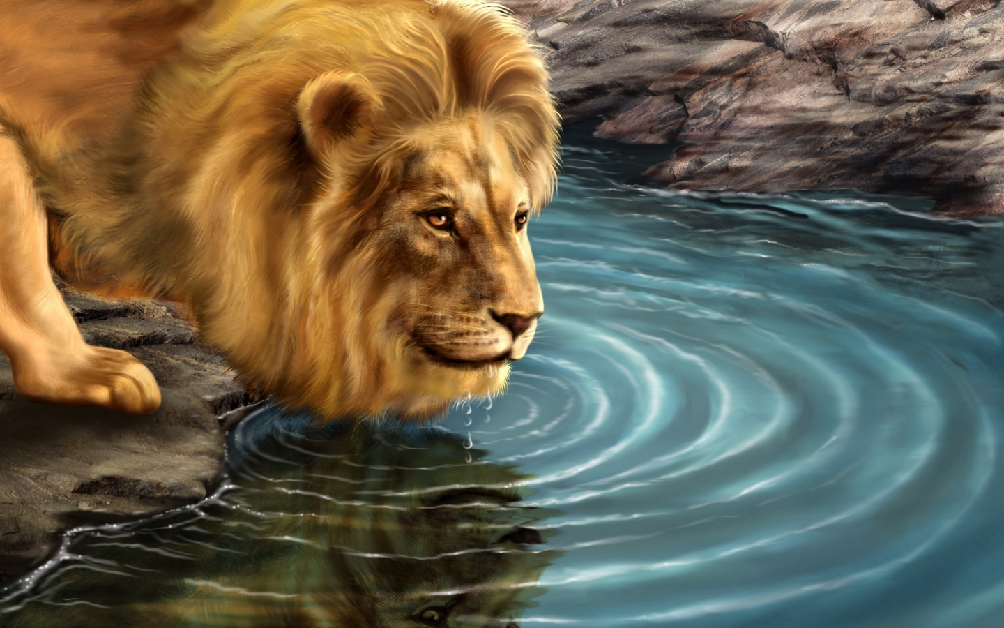 Lion Drinking Water for 1440 x 900 widescreen resolution