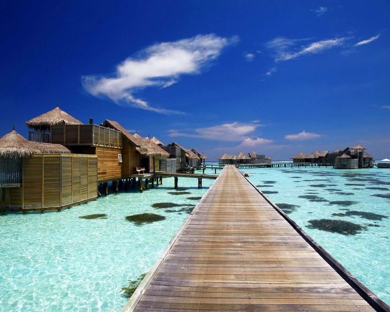 Luxury Resort in Maldives for 1280 x 1024 resolution