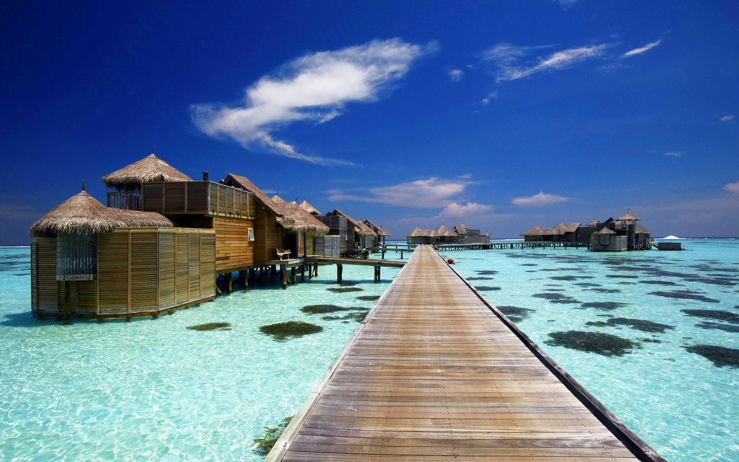 Luxury Resort in Maldives for 1440 x 900 widescreen resolution