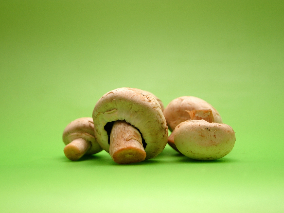 Minimal Mushrooms for 1152 x 864 resolution