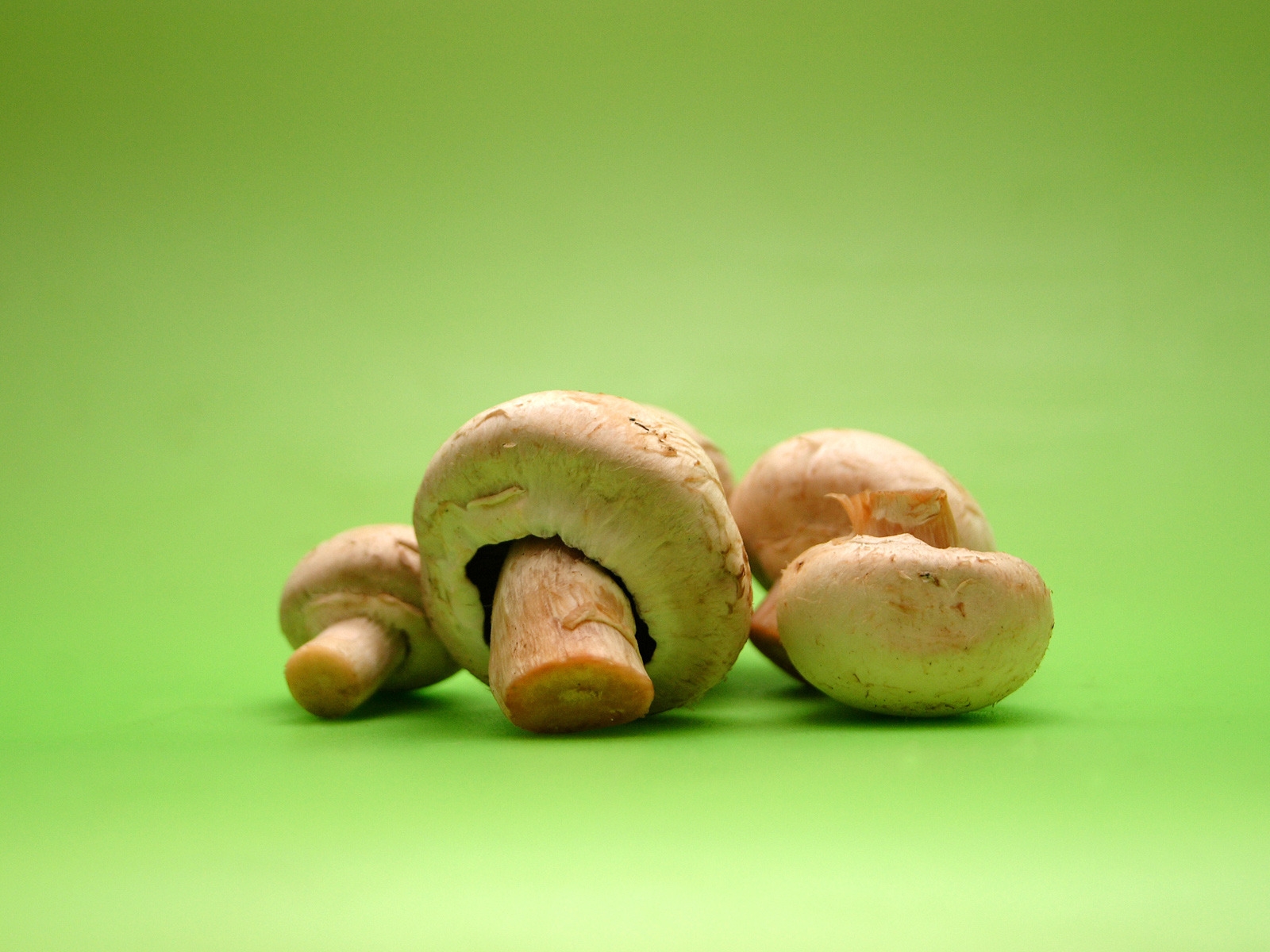 Minimal Mushrooms for 1600 x 1200 resolution