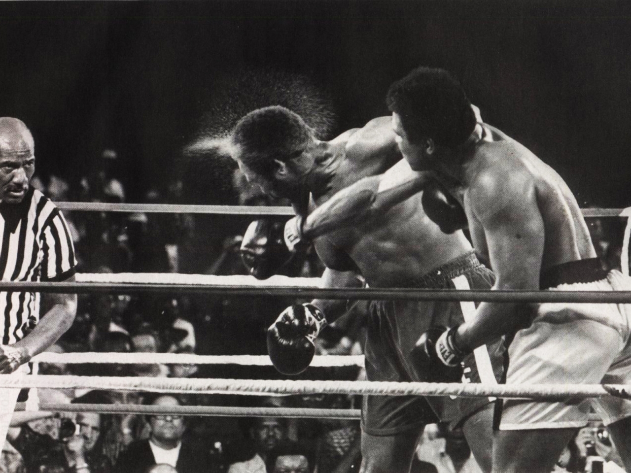 Muhammad Ali Hit for 1280 x 960 resolution