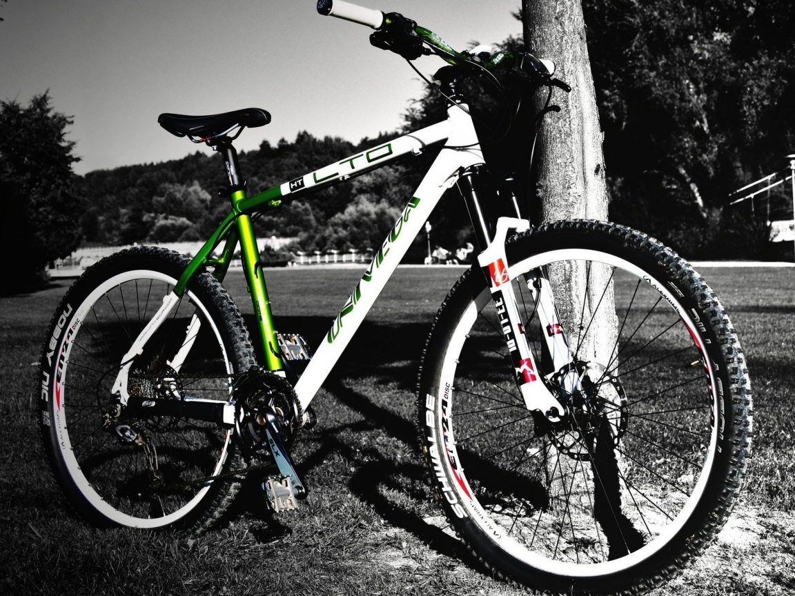 Nice Mountain Bike for 1152 x 864 resolution