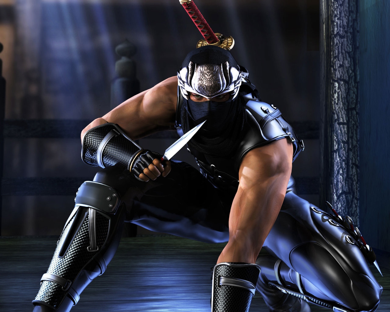 Ninja Gaiden Hayabusa for 1280 x 1024 resolution