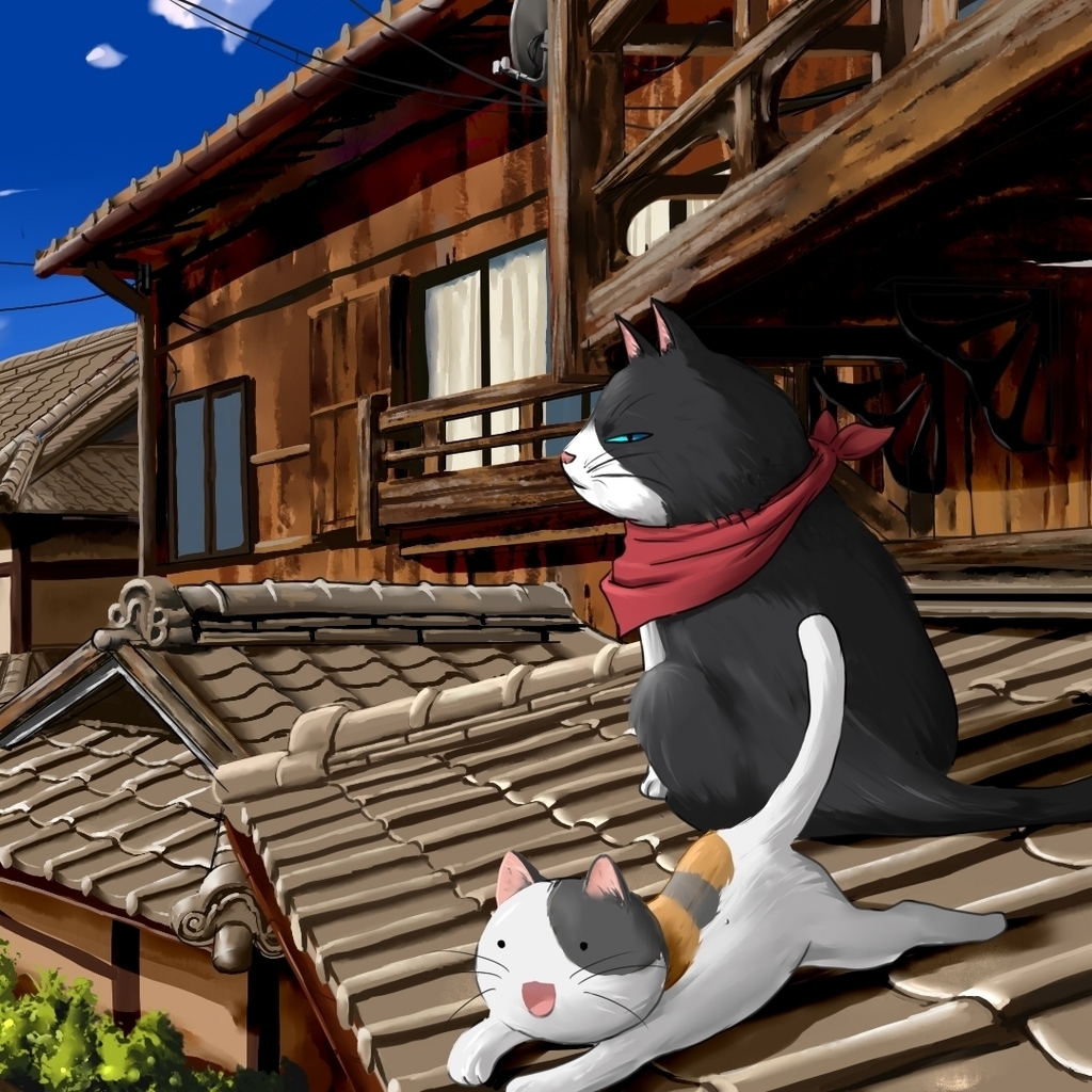 Nyan Koi Anime Series for 1024 x 1024 iPad resolution