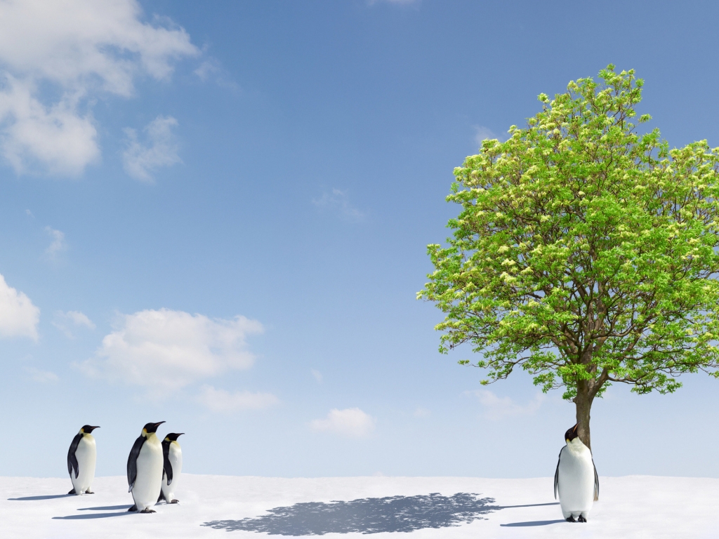 Penguins and Green Tree for 1024 x 768 resolution