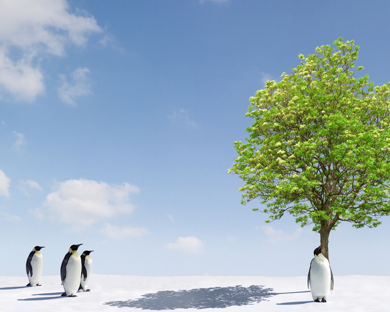 Penguins and Green Tree for 1280 x 1024 resolution