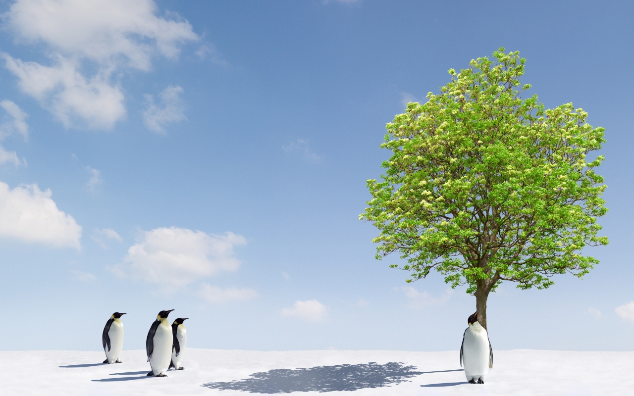Penguins and Green Tree for 1280 x 800 widescreen resolution