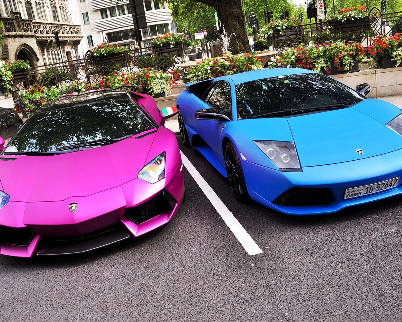 Pink and Blue Lamborghini for 1280 x 1024 resolution