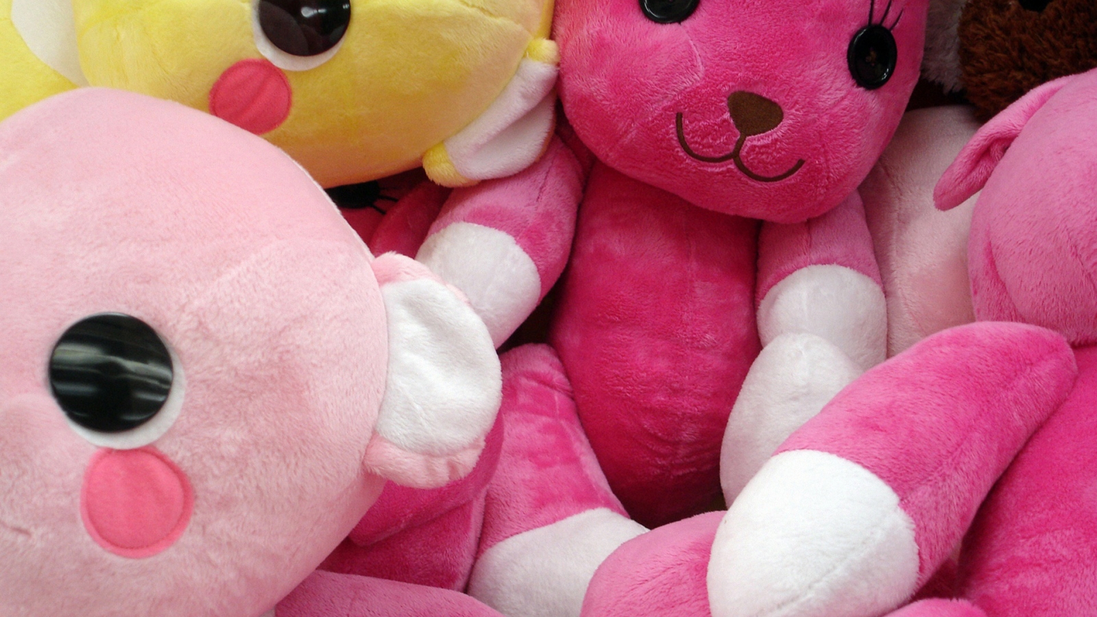 Pink Teddy Bears for 1600 x 900 HDTV resolution