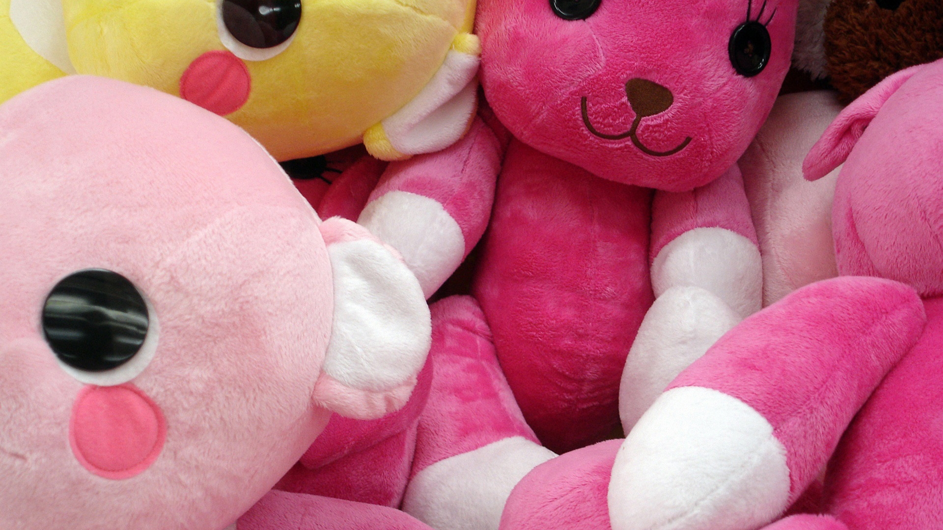 Pink Teddy Bears for 1920 x 1080 HDTV 1080p resolution