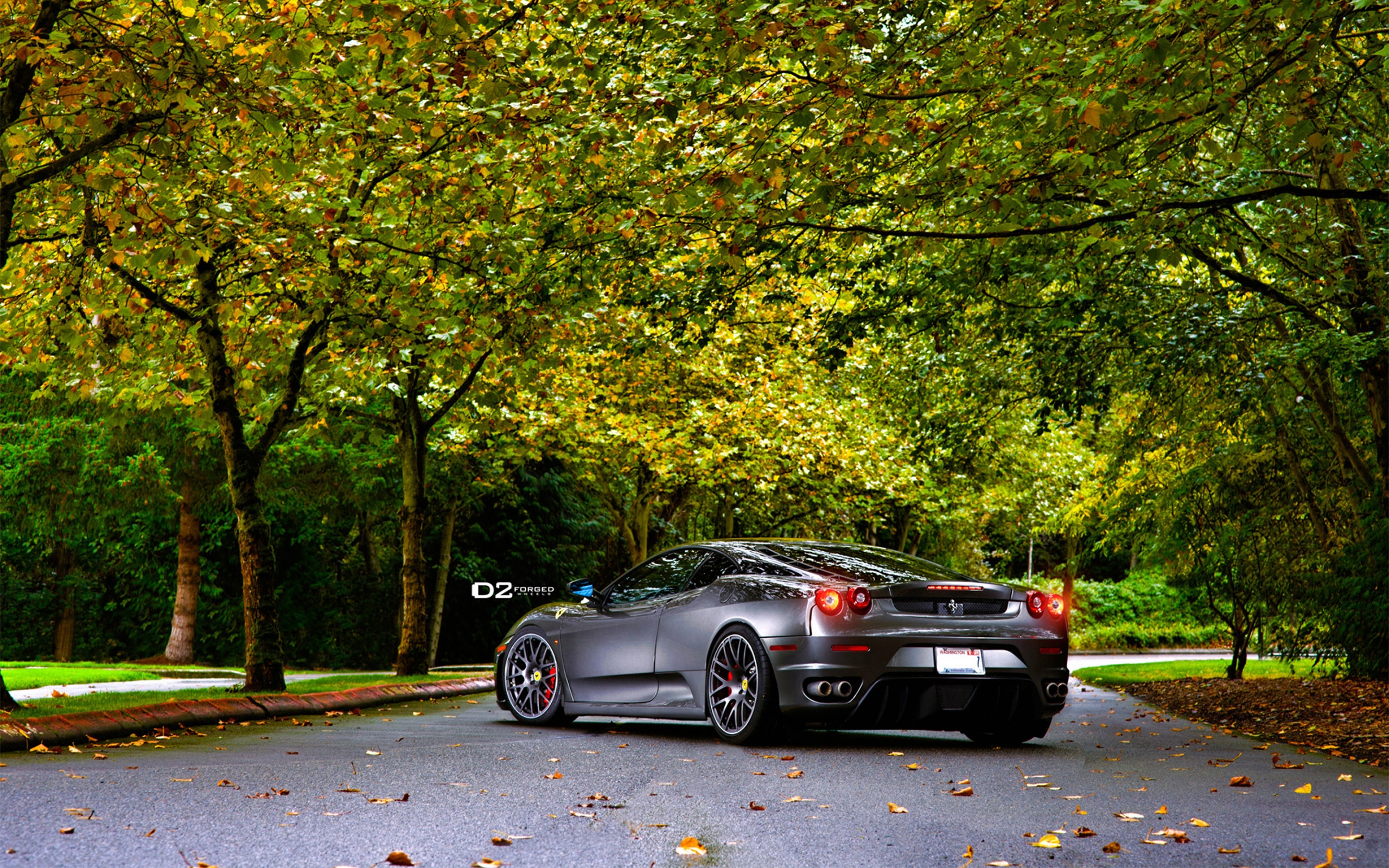 Rear of D2Forged Ferrari F430 for 2560 x 1600 widescreen resolution