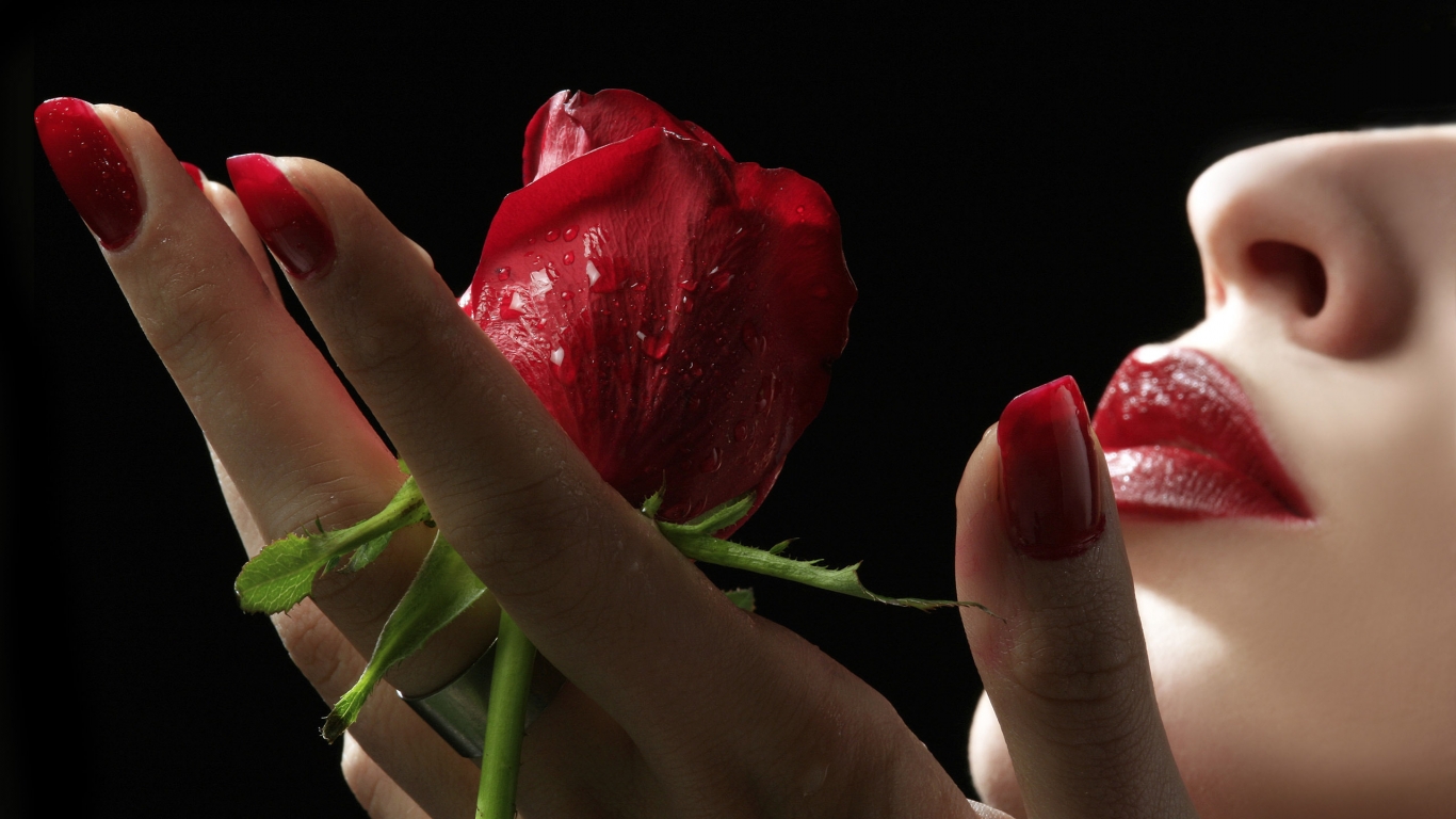 Red Rose and Lips for 1366 x 768 HDTV resolution