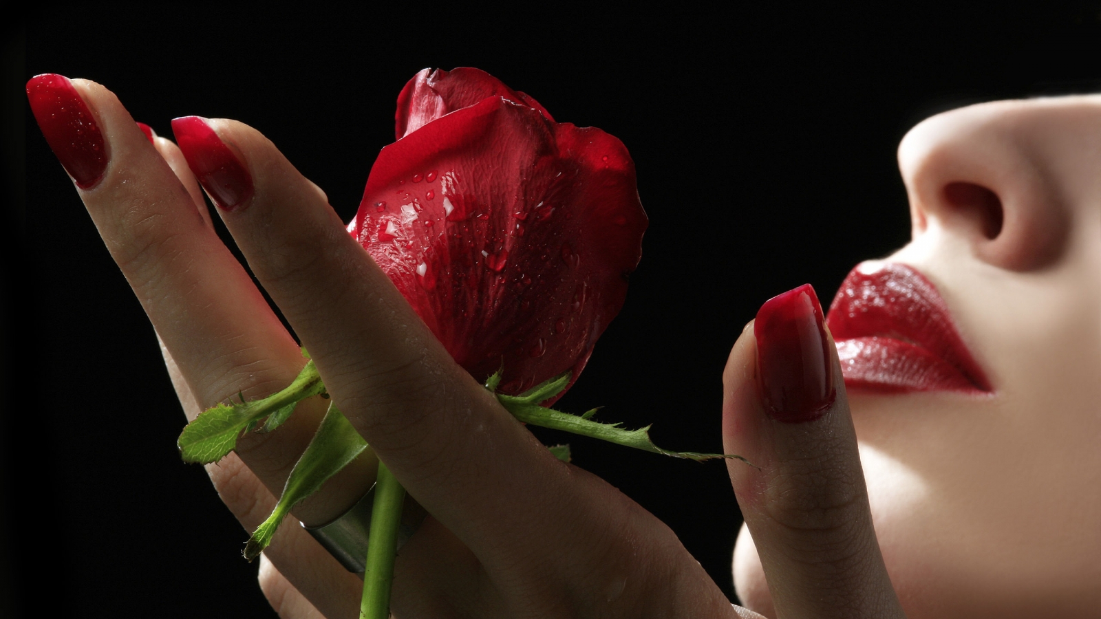 Red Rose and Lips for 1600 x 900 HDTV resolution