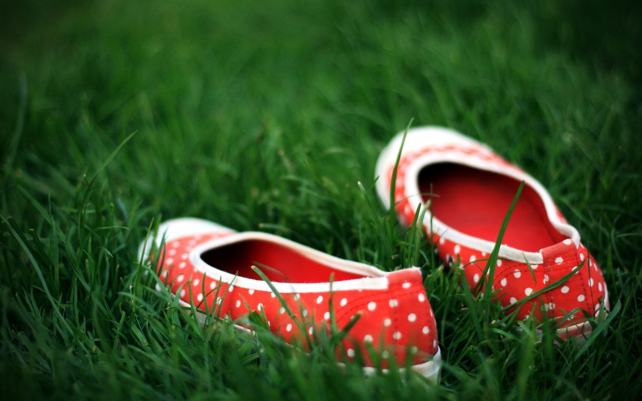 Red Shoes in the grass for 1280 x 800 widescreen resolution