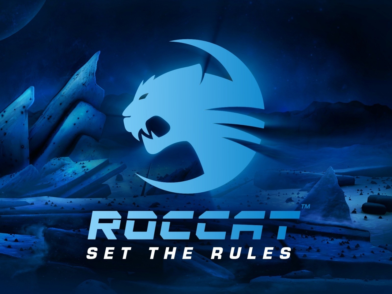 ROCCAT Poster for 1280 x 960 resolution