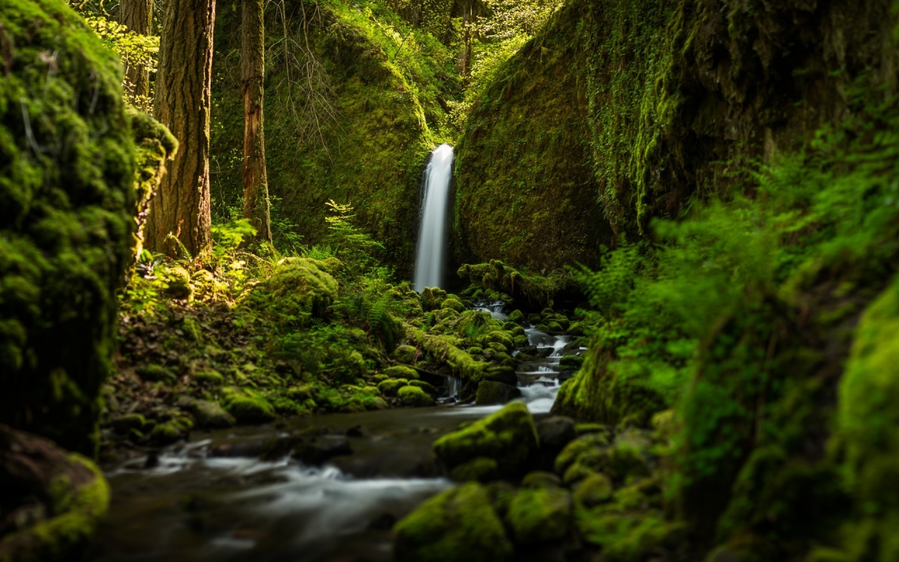 Ruckel Creek Falls for 1280 x 800 widescreen resolution
