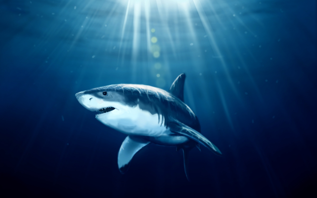 Shark Under Water for 1280 x 800 widescreen resolution