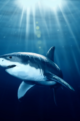Shark Under Water for 320 x 480 iPhone resolution
