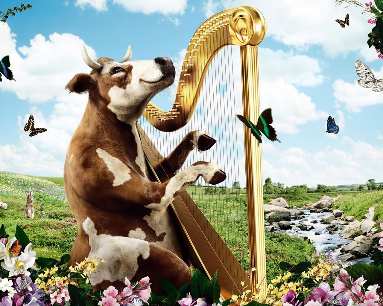 Singing Cow for 1280 x 1024 resolution