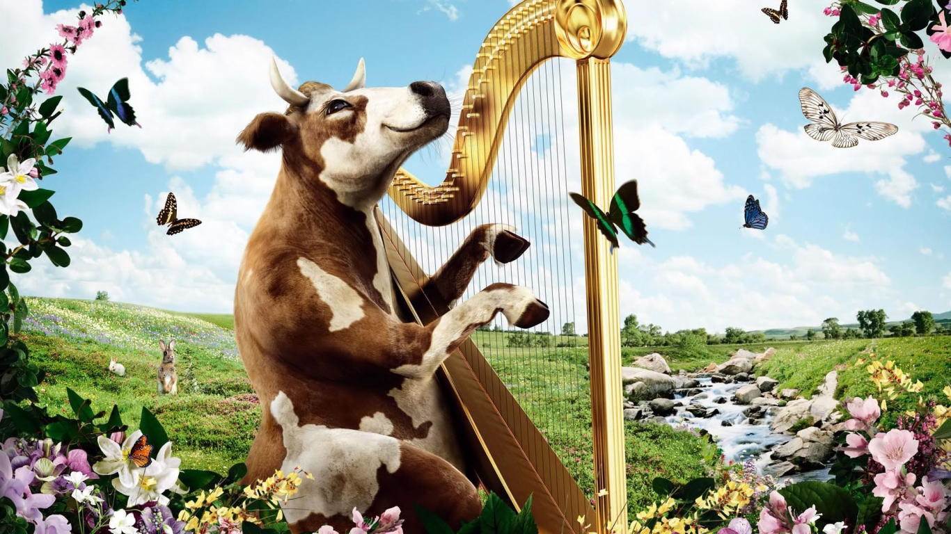 Singing Cow for 1366 x 768 HDTV resolution