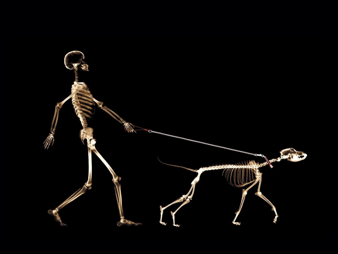 Skeletons Walking for 1152 x 864 resolution
