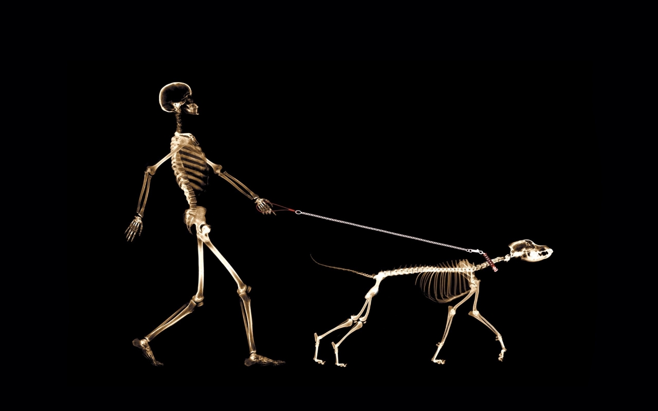 Skeletons Walking for 1280 x 800 widescreen resolution